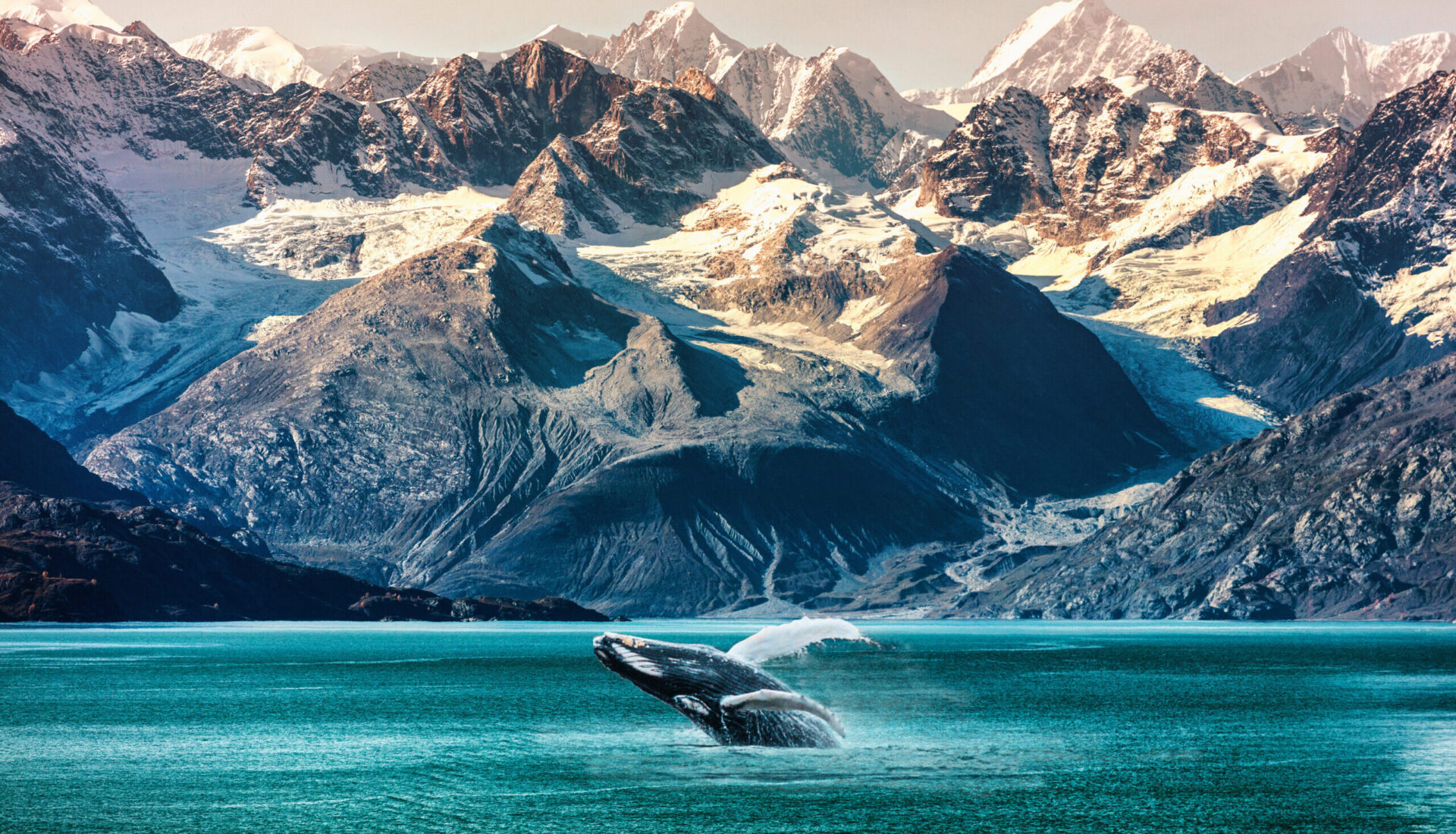 Alaska whale watching boat excursion. Inside passage mountain range landscape luxury travel cruise concept.