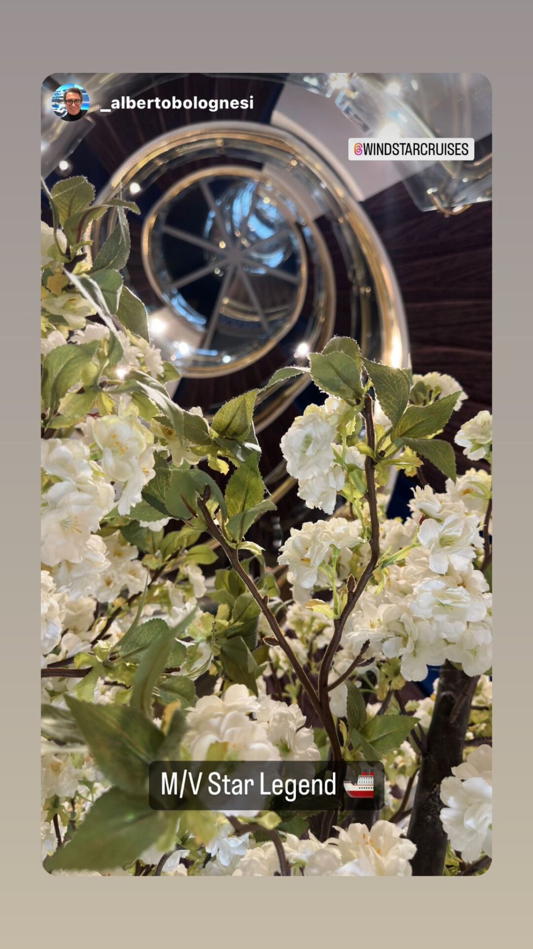 WINDSTAR CRUISES - STAR LEGEND - Gallery Image