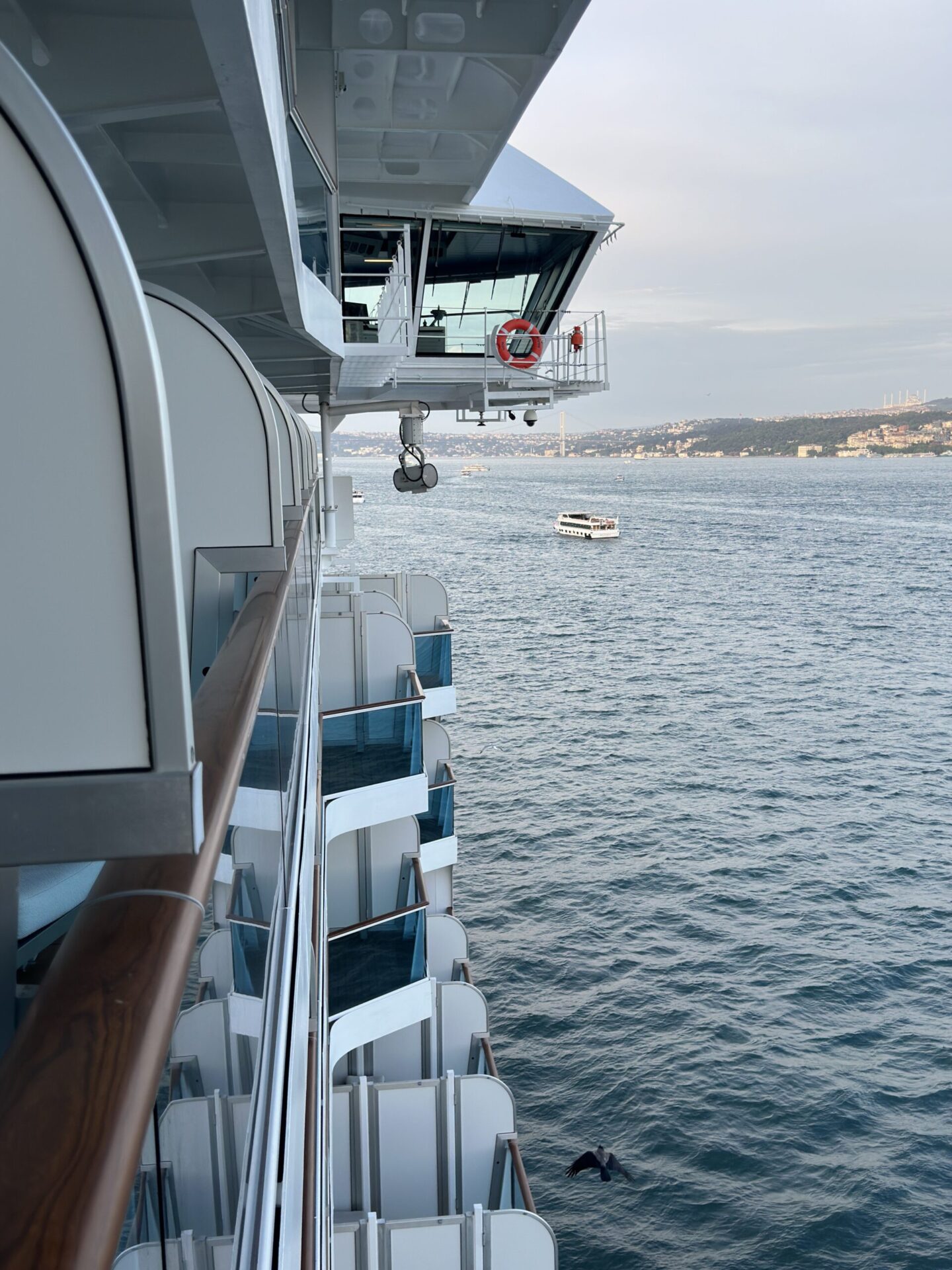 OCEANIA CRUISES - VISTA - Gallery Image