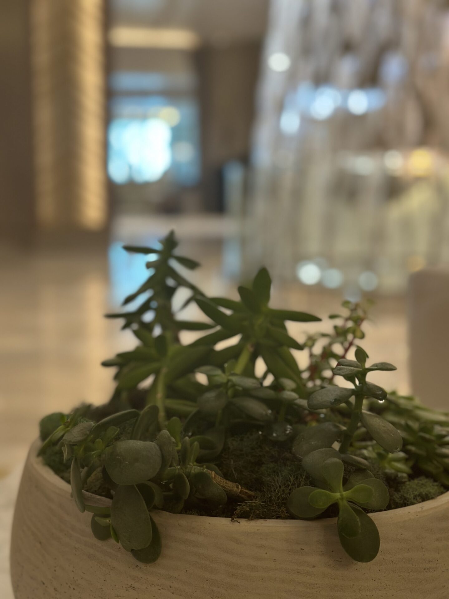 OCEANIA CRUISES - VISTA - Gallery Image