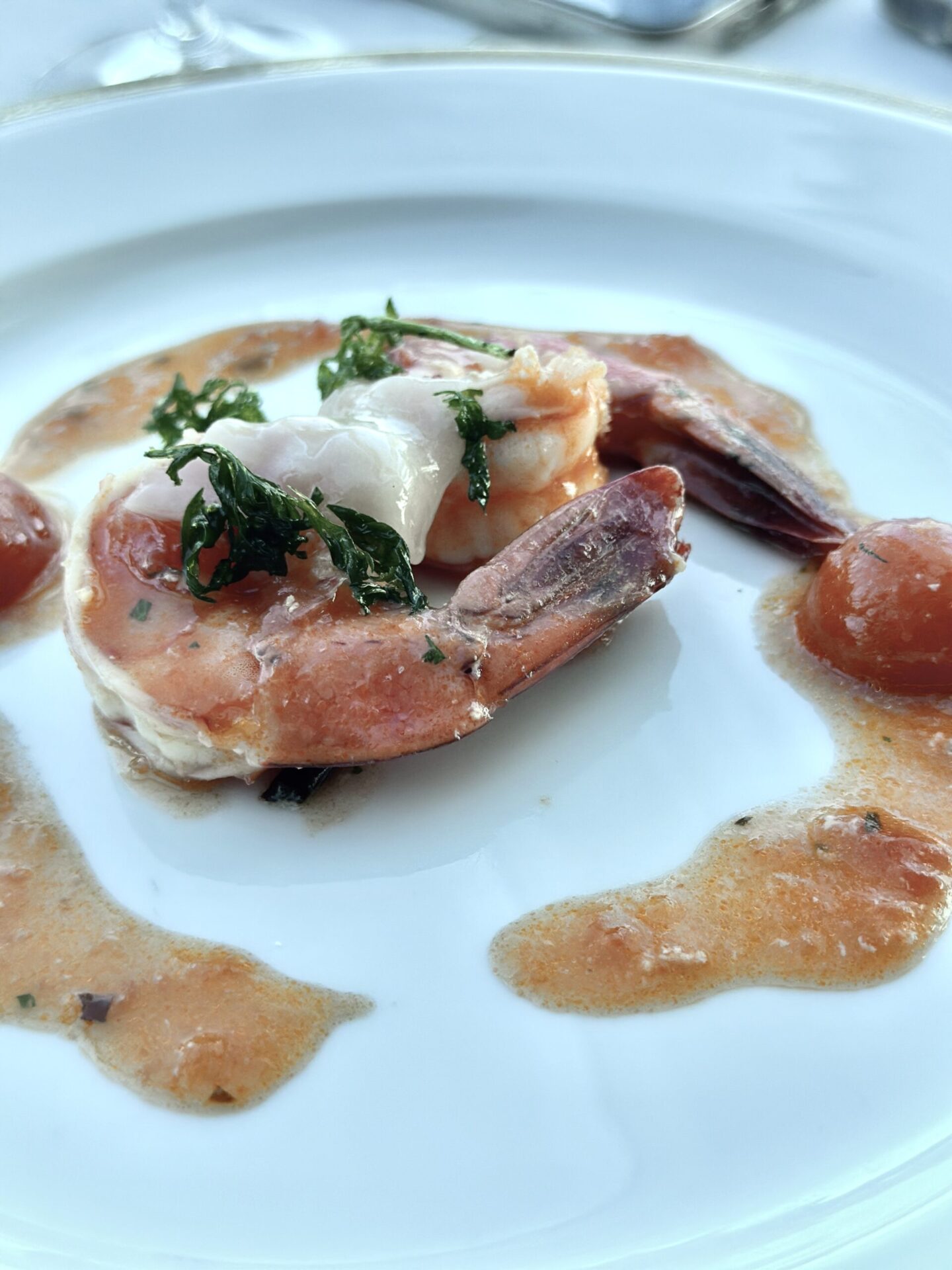 OCEANIA CRUISES - VISTA - Gallery Image