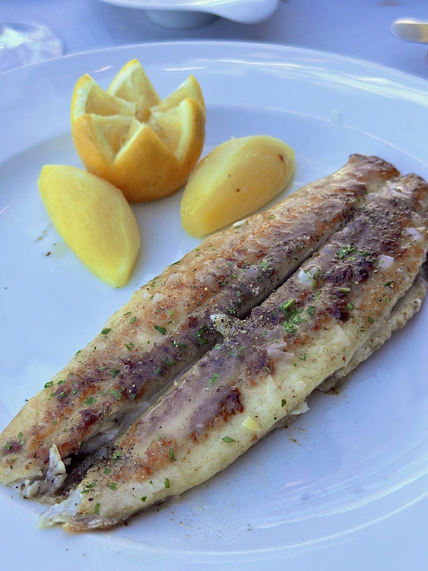 OCEANIA CRUISES - VISTA - Gallery Image