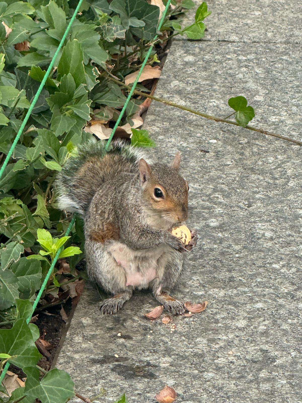 New York Viaggio di Gruppo 10-16 Ottobre 2024 - Gallery Image