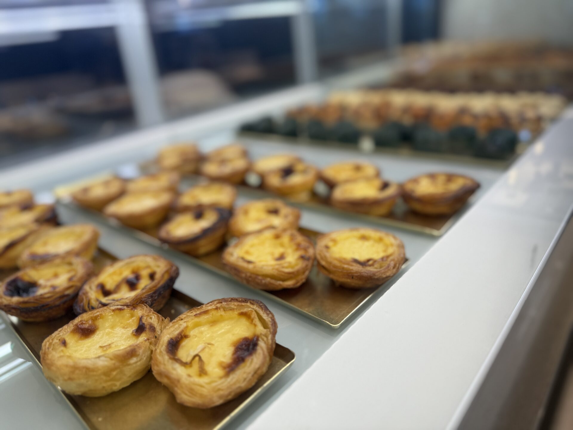 Explora Journeys - Explora II - Gallery Image