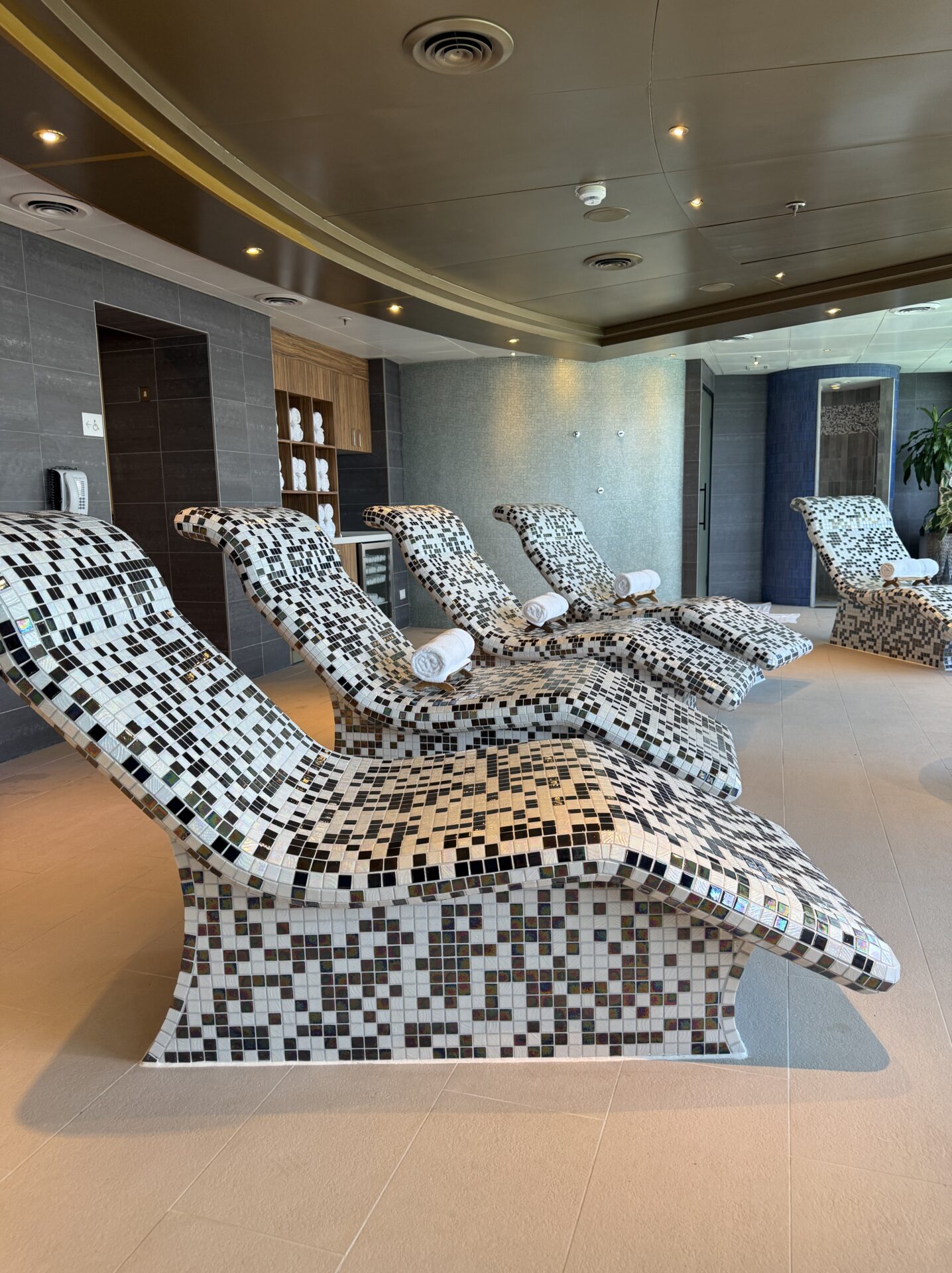 Holland America Line - Oosterdam - Gallery Image