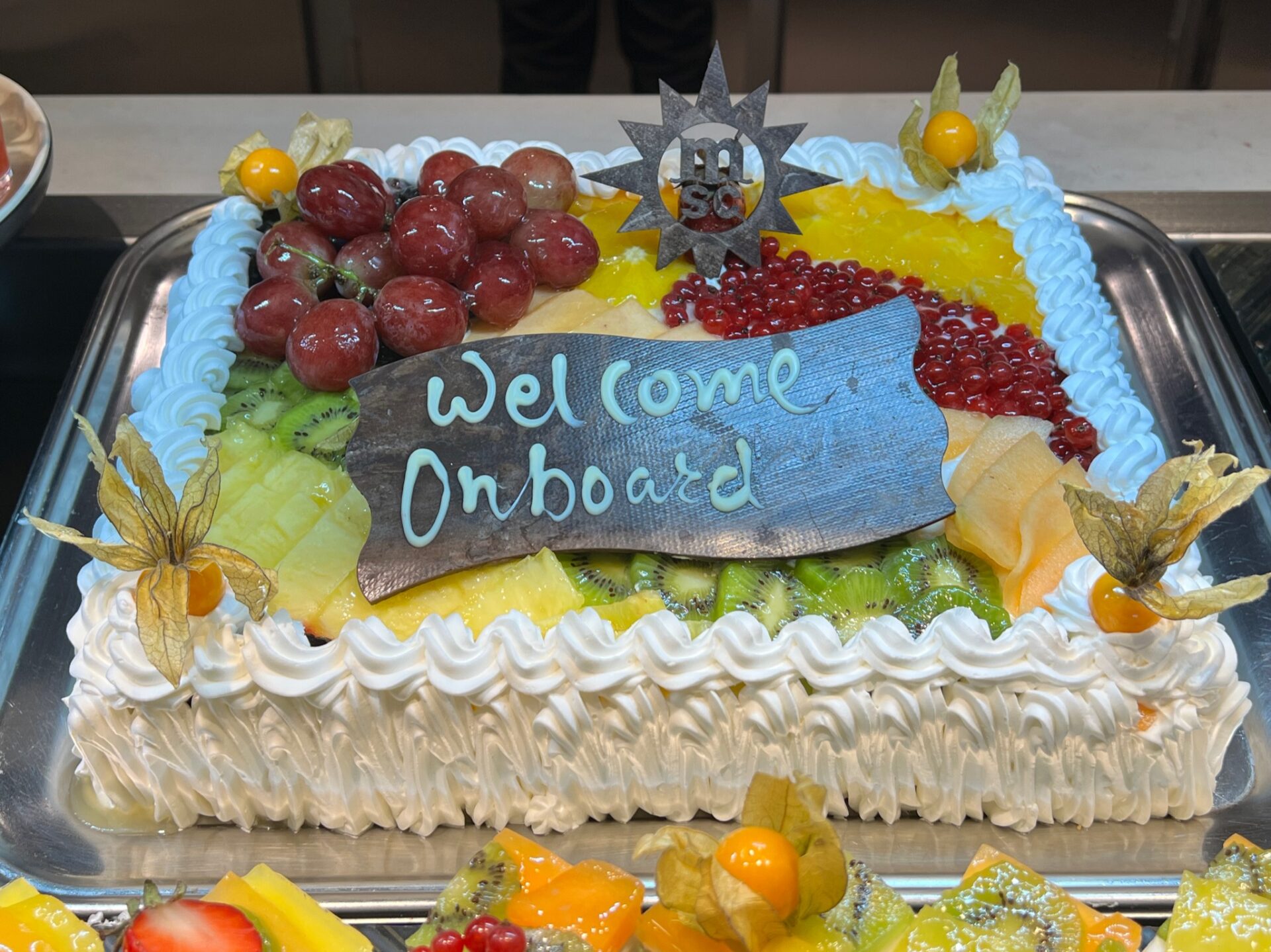 Msc Crociere - Msc World Europa - Gallery Image