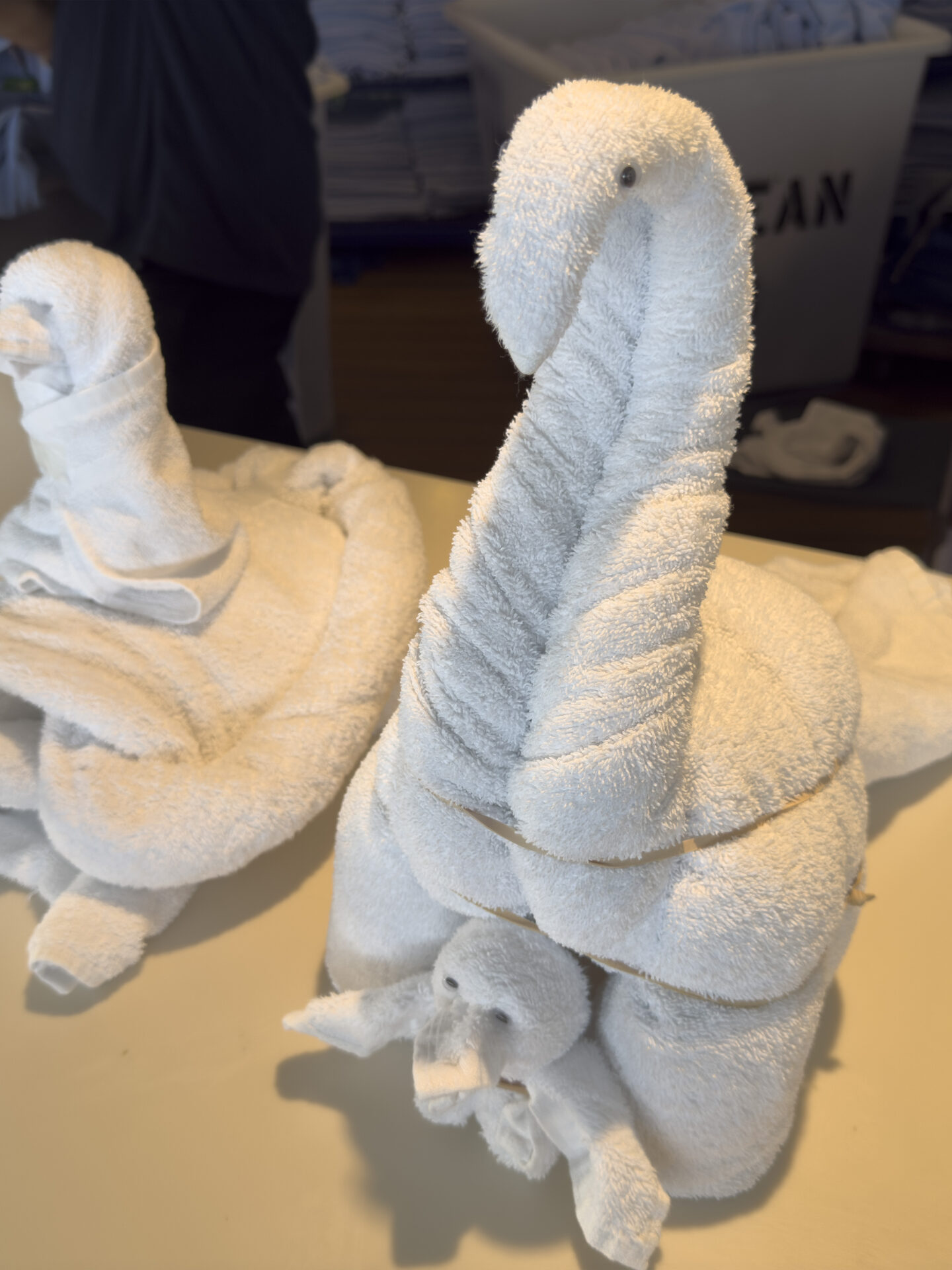 Royal Caribbean - Odyssey Of The Seas - Gallery Image