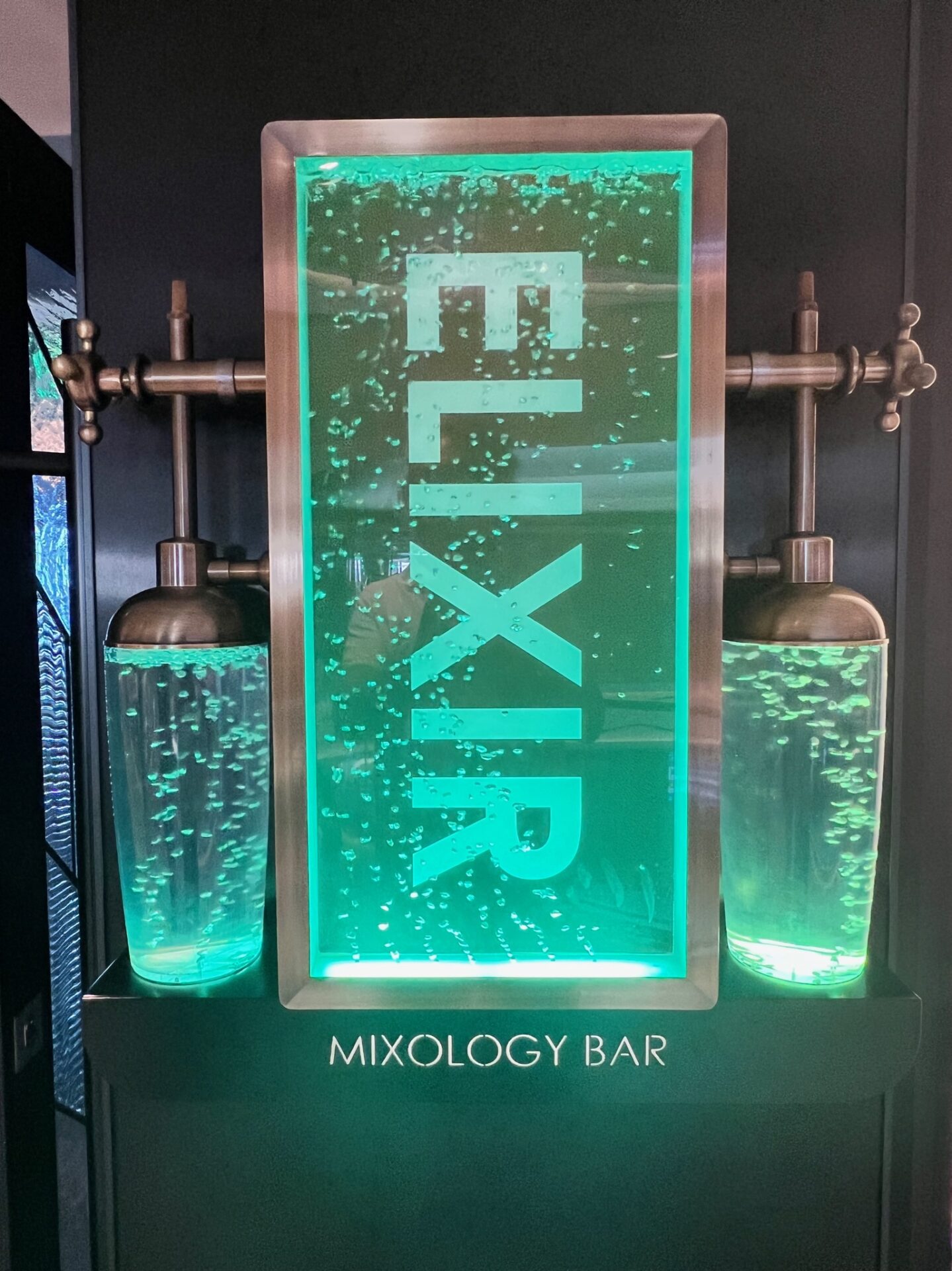 Msc Crociere - Msc World Europa - Gallery Image