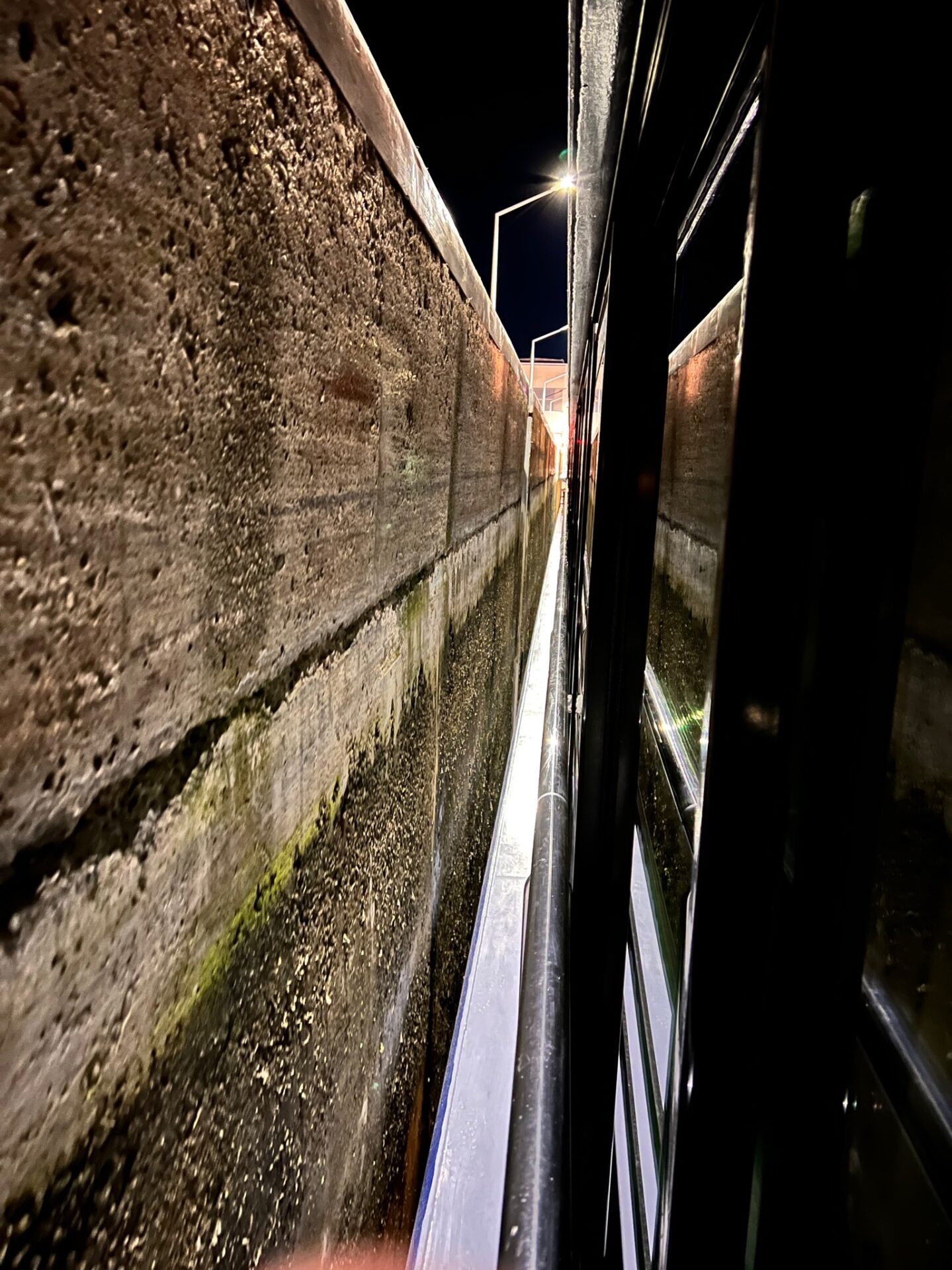 Avalon Waterways - Avalon Illumination - Gallery Image