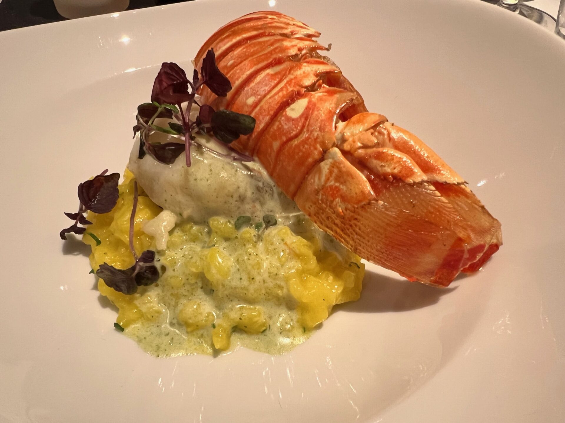 Avalon Waterways - Avalon Illumination - Gallery Image