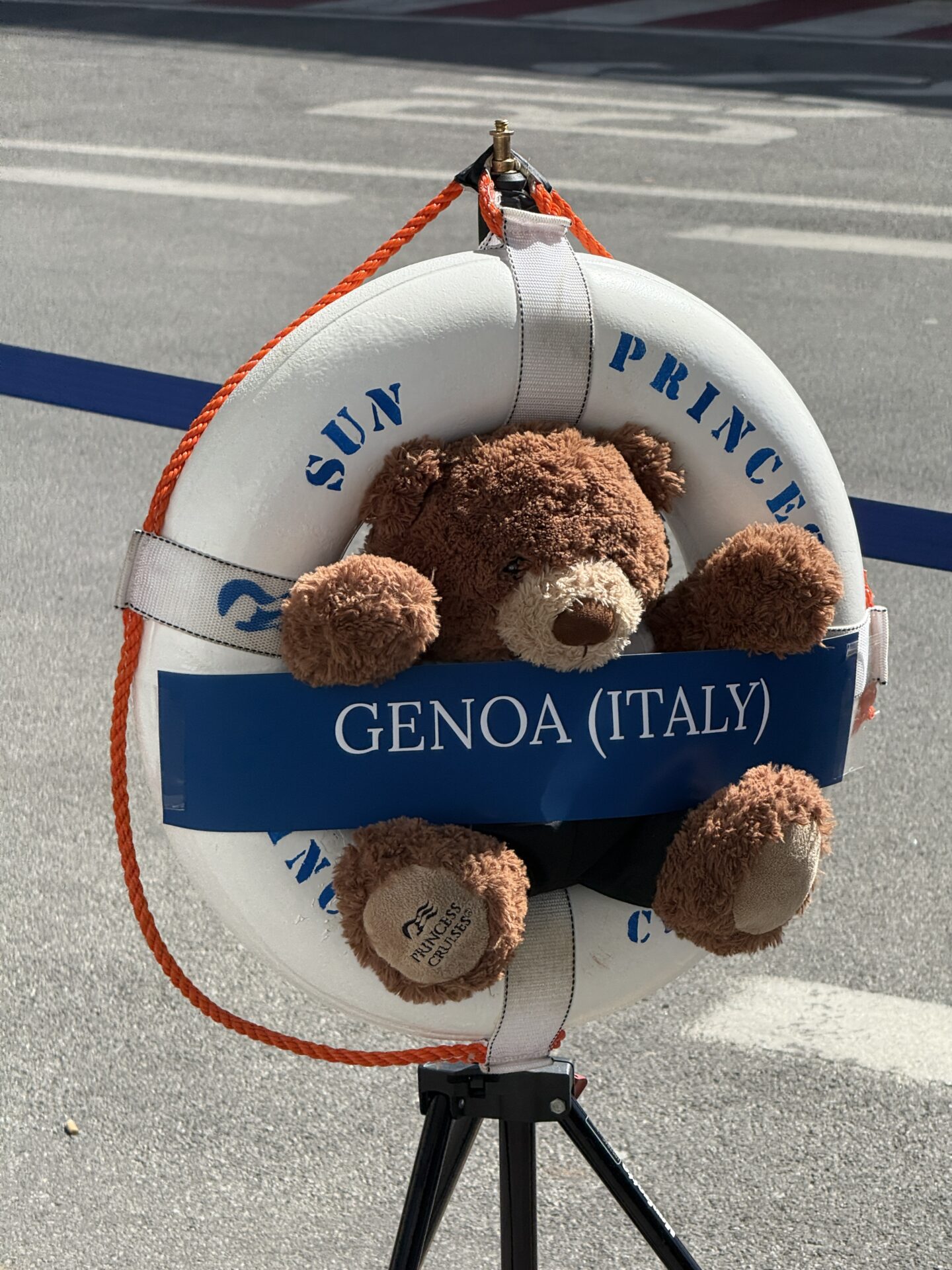 Princess Cruises - Sun Princess - Gallery Image