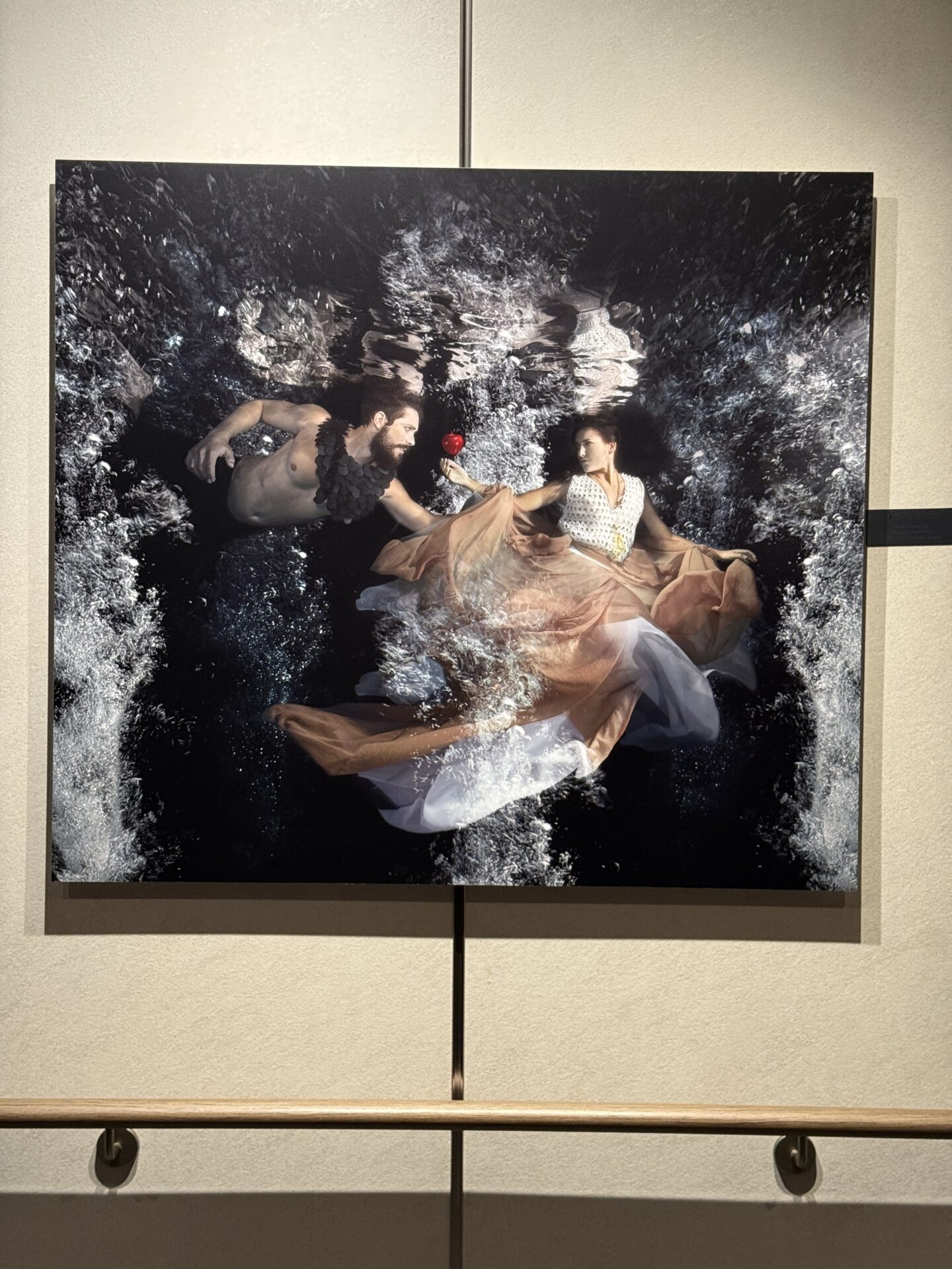 Princess Cruises - Sun Princess - Gallery Image