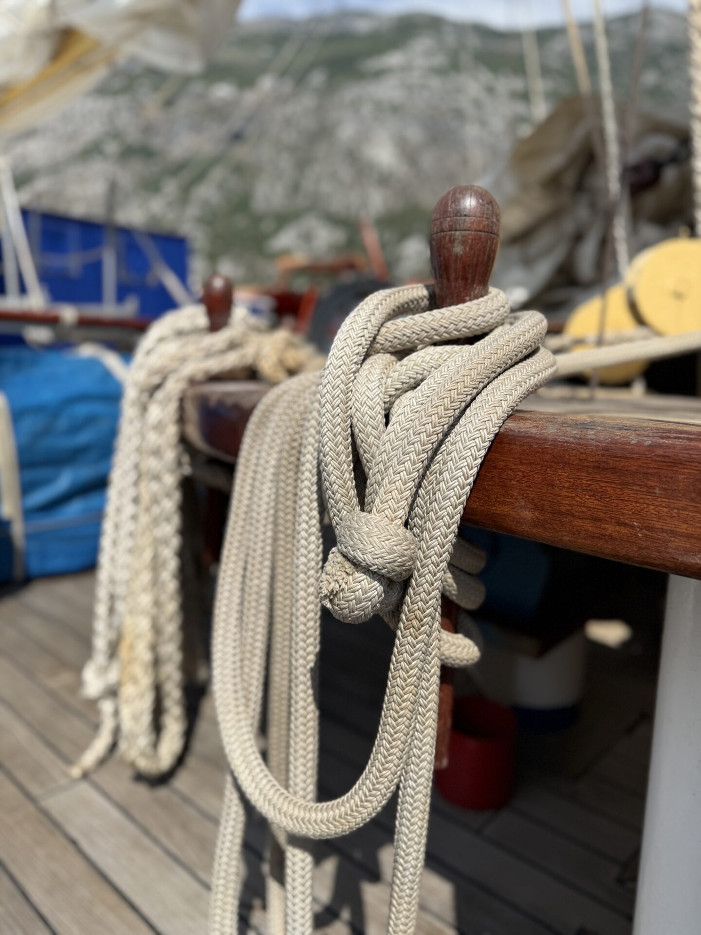 Star Clippers - Star Flyer - Gallery Image