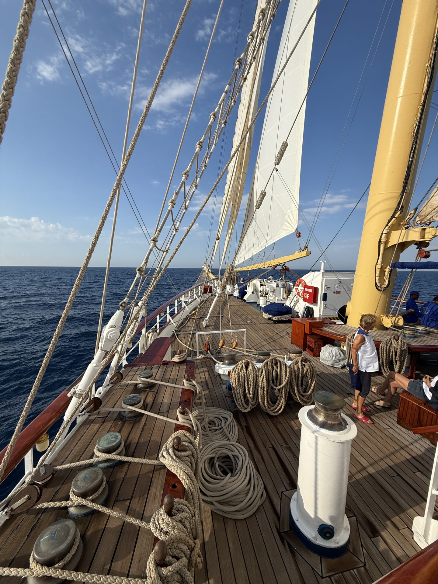 Star Clippers - Star Flyer - Gallery Image