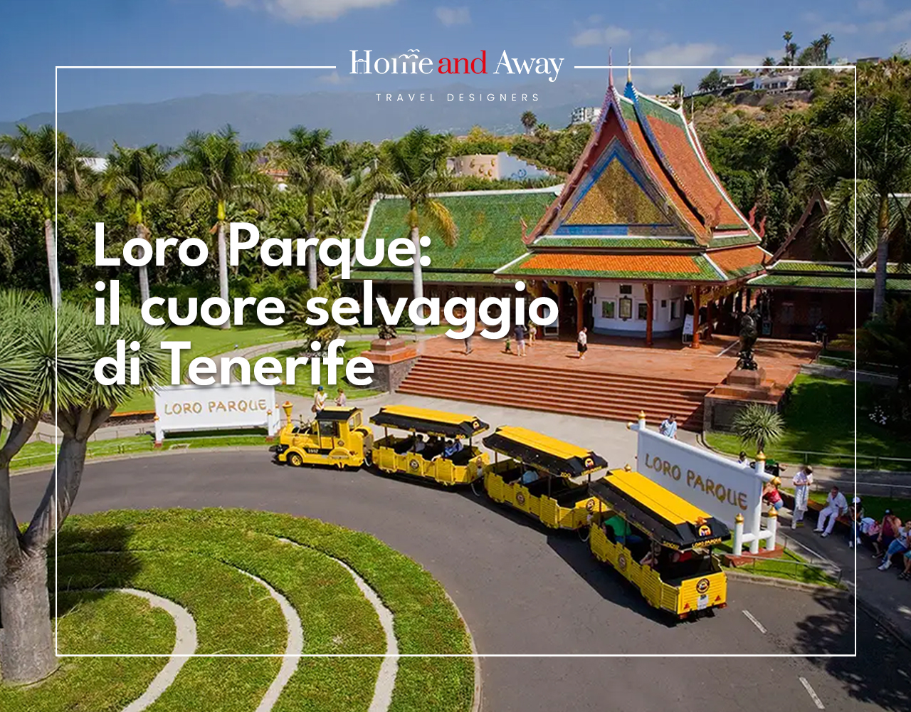 Loro Parque Tenerife – Alla scoperta del cuore selvaggio dell’isola