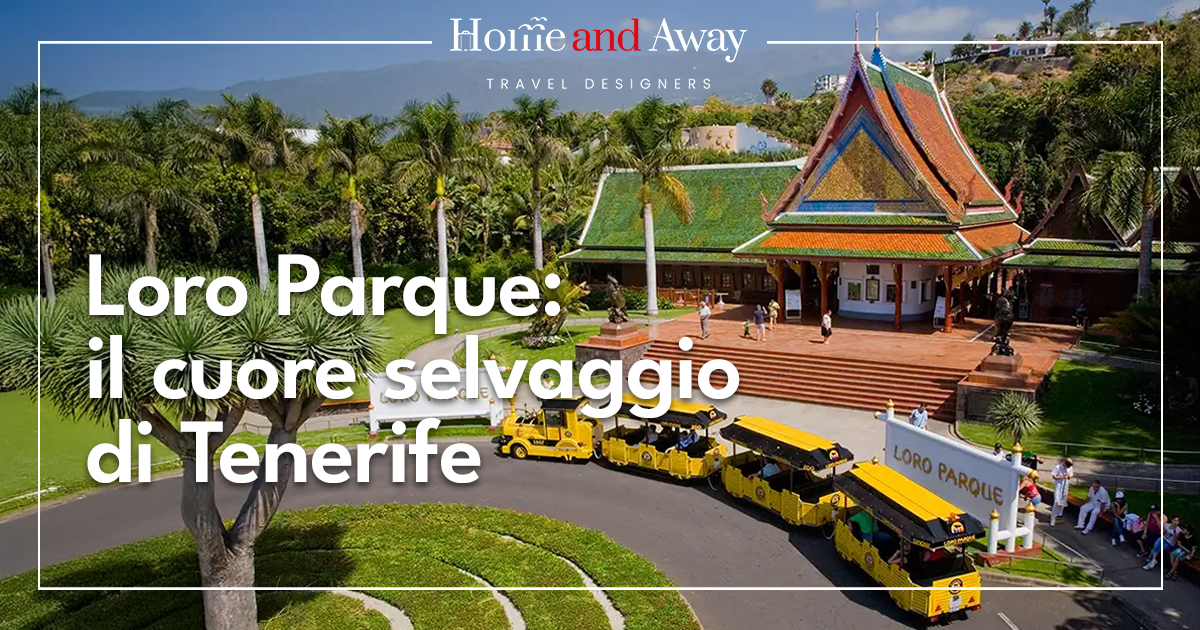 Loro Parque Tenerife – Alla scoperta del cuore selvaggio dell’isola