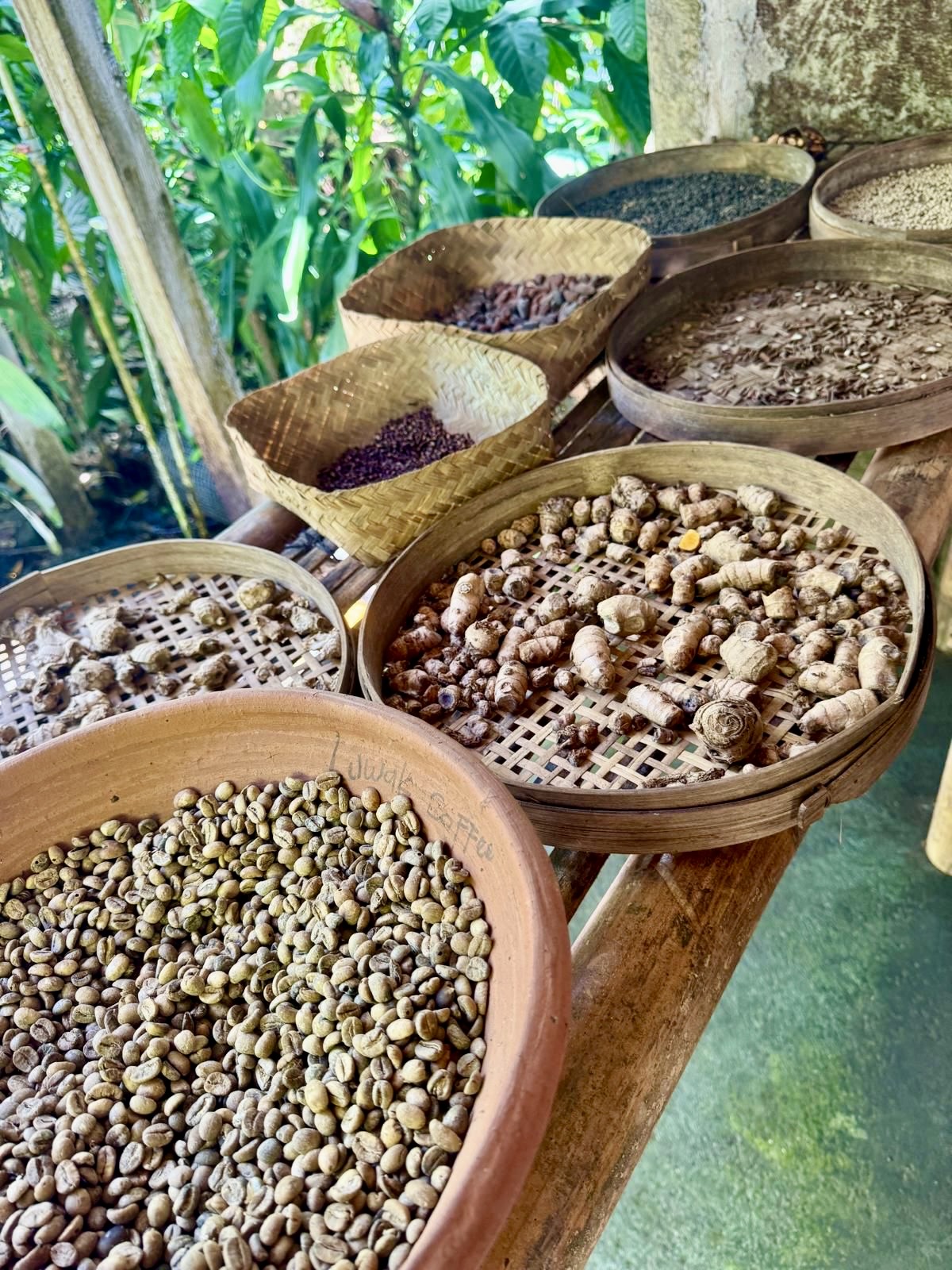 Bali 2025 - Gallery Image