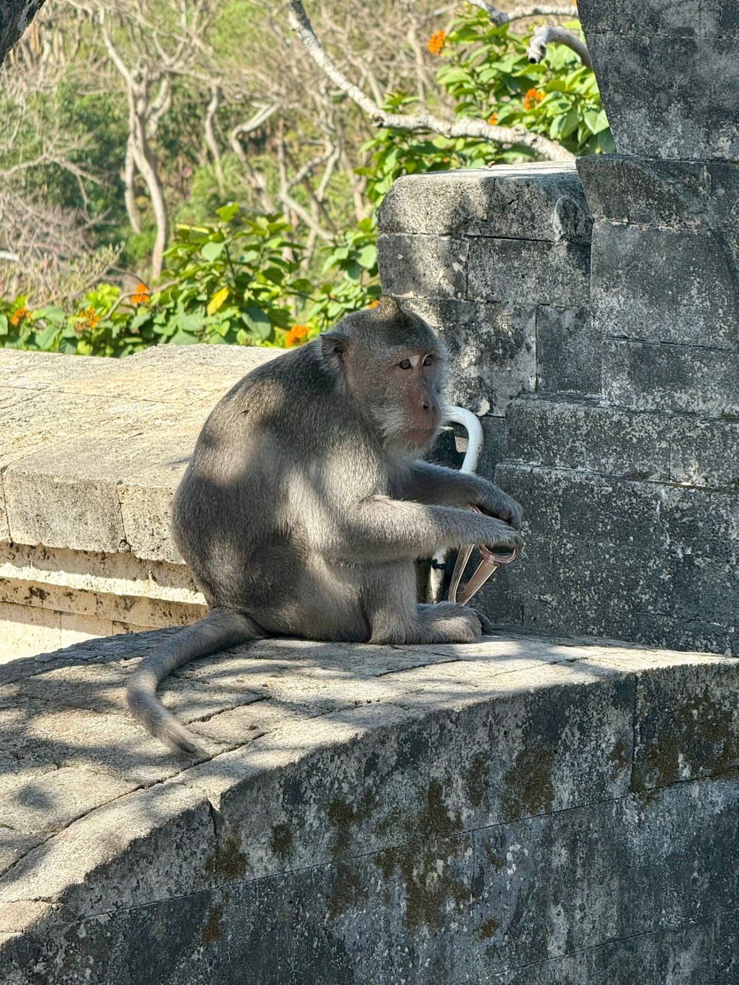 Bali 2025 - Gallery Image