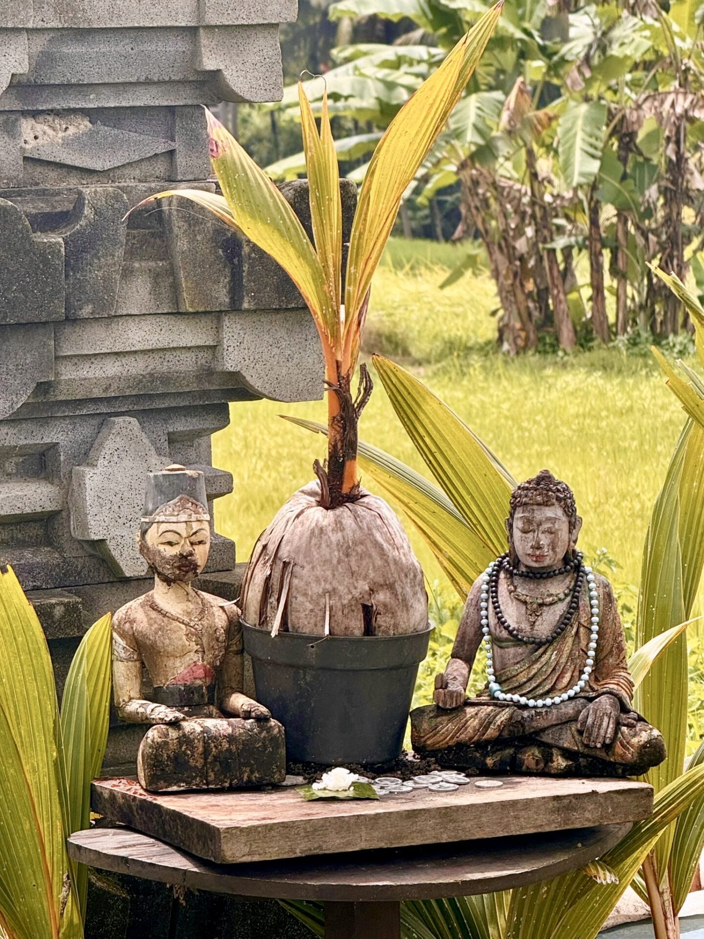 Bali 2025 - Gallery Image