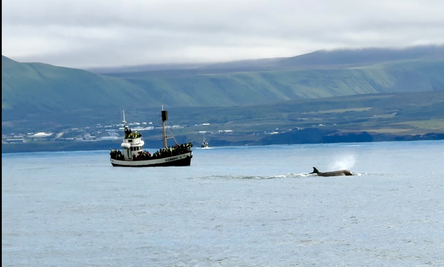 Islanda Hùsavik - Gallery Image