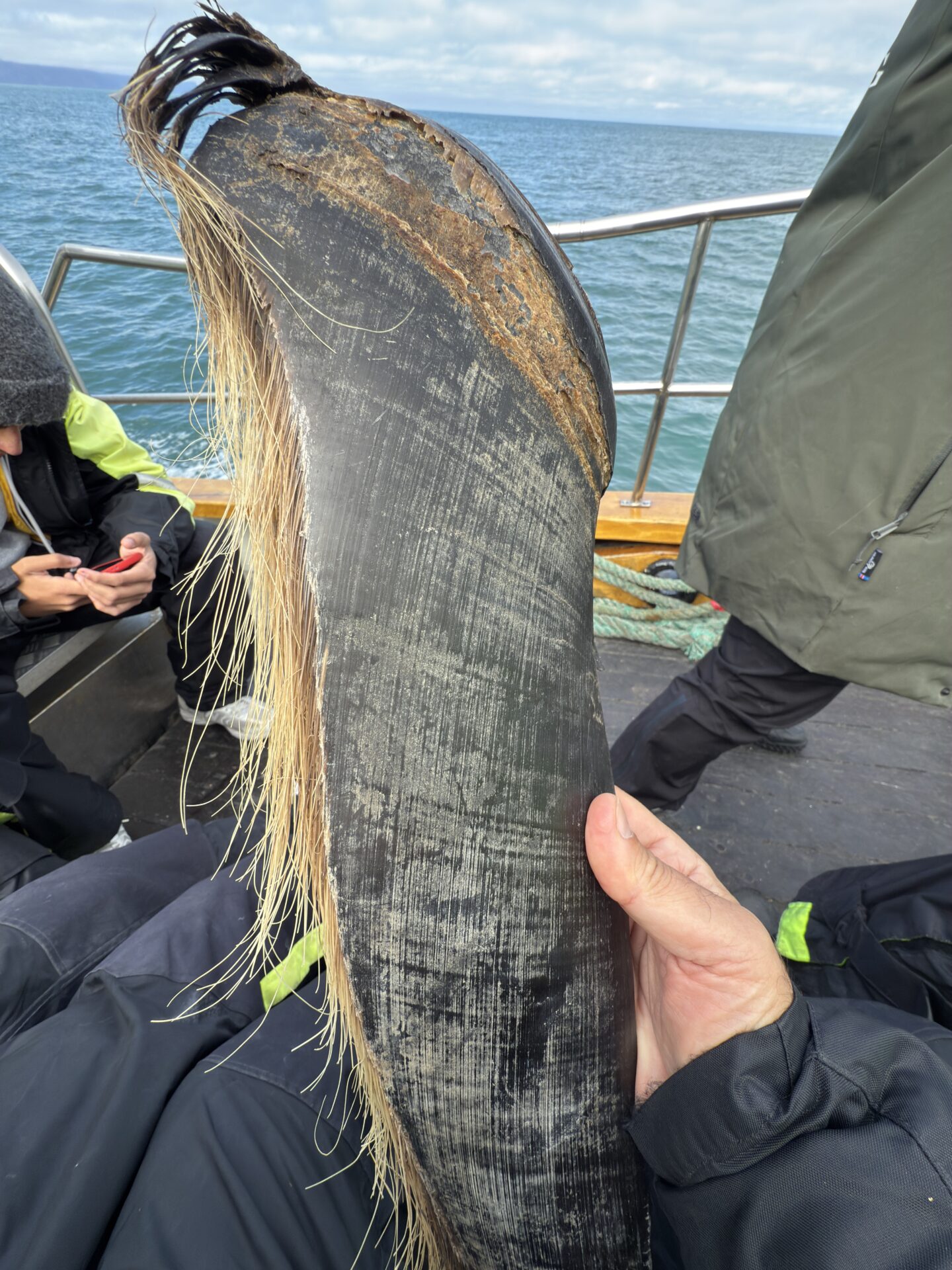 Islanda Hùsavik - Gallery Image