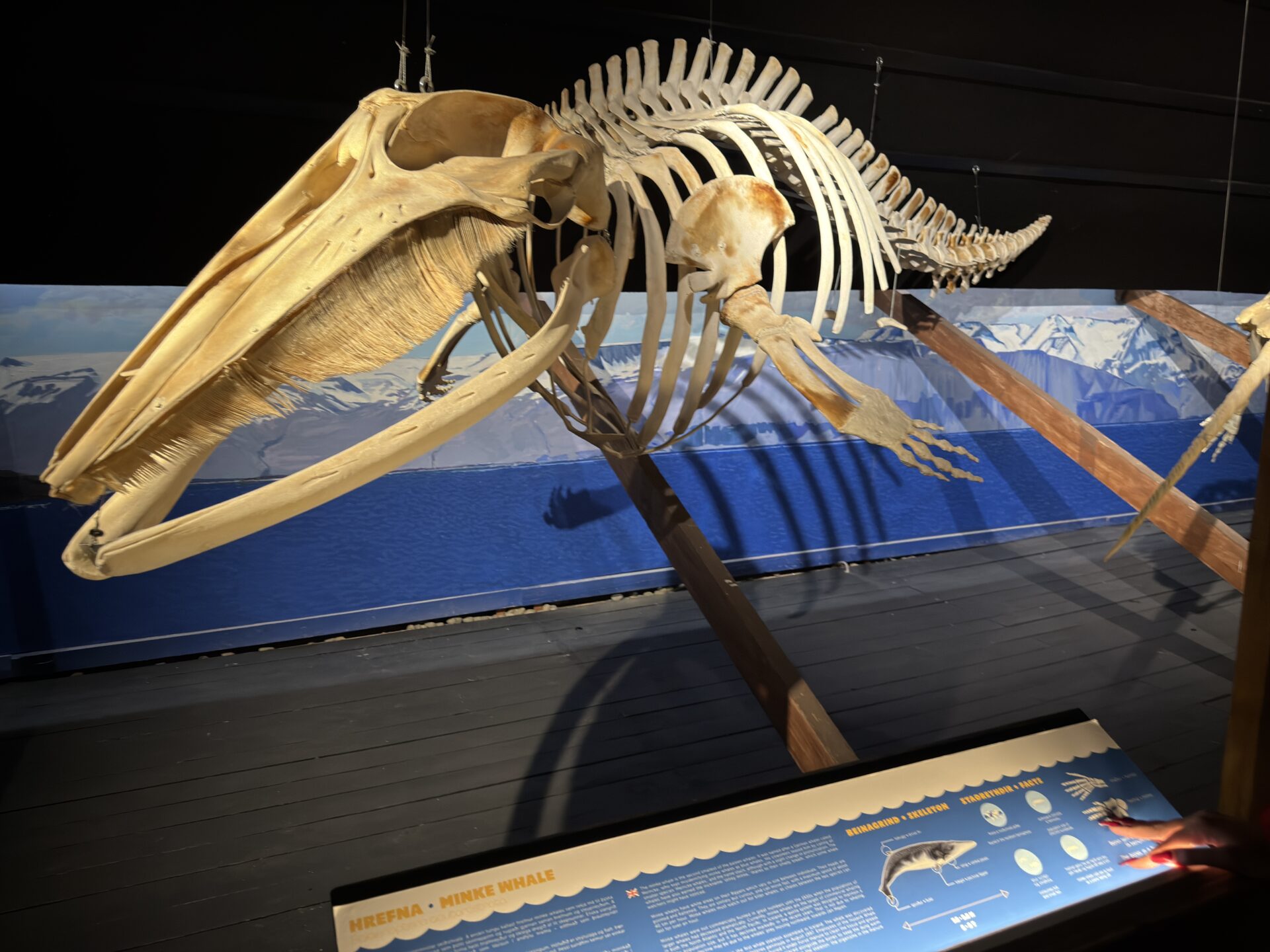 Islanda Hùsavik - Gallery Image