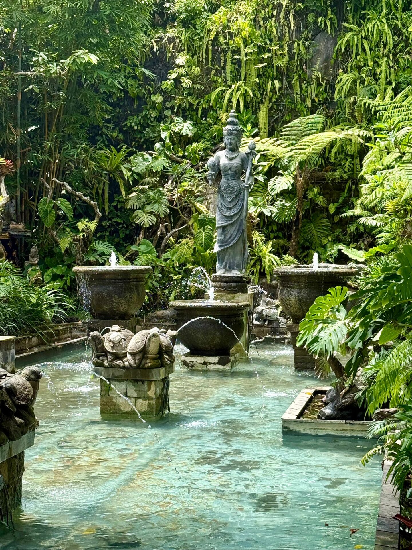 Bali 2025 - Gallery Image