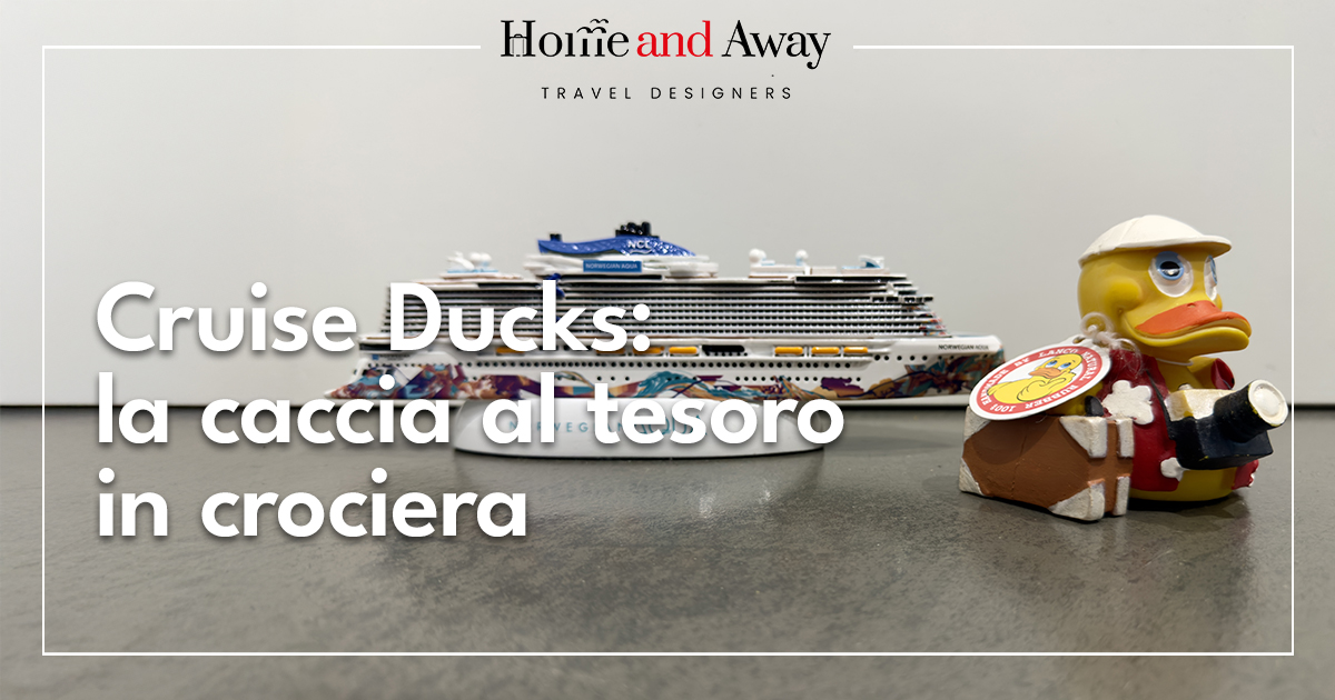Cruise Ducks: il fenomeno degli anatroccoli da crociera
