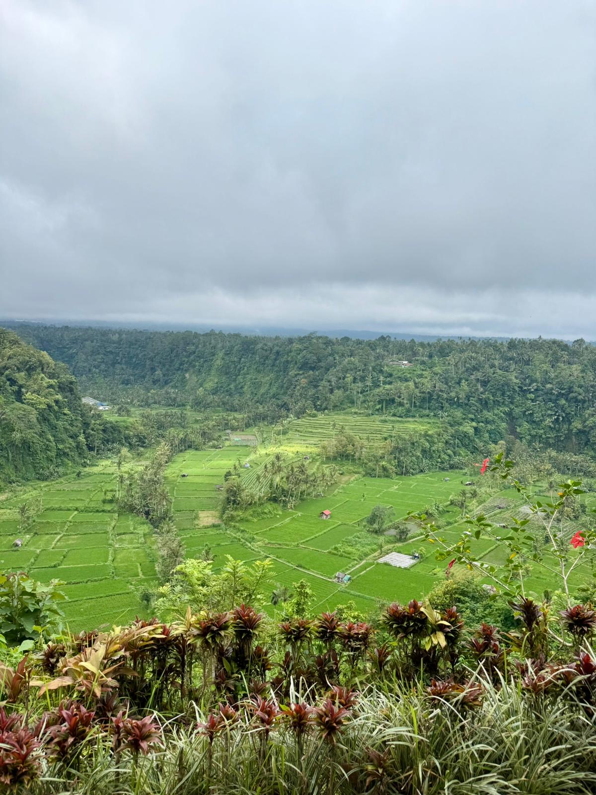 Bali 2025 - Gallery Image