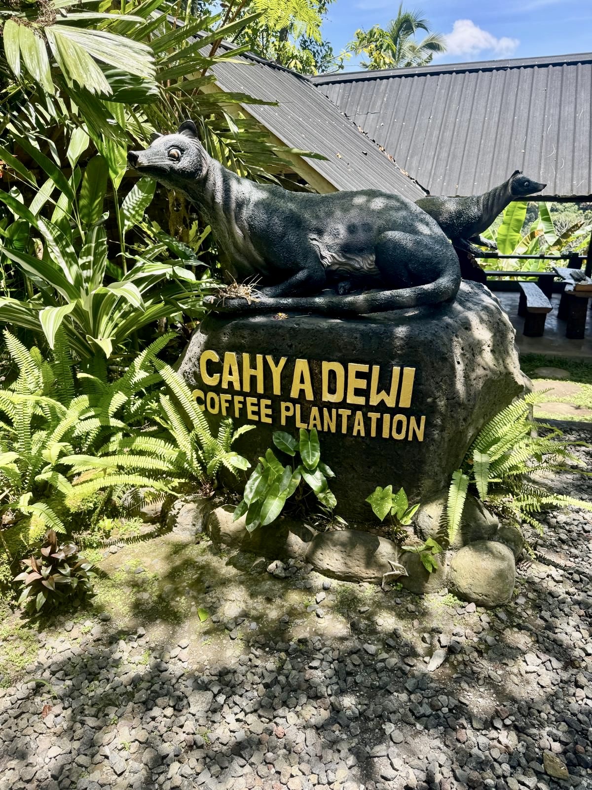 Bali 2025 - Gallery Image