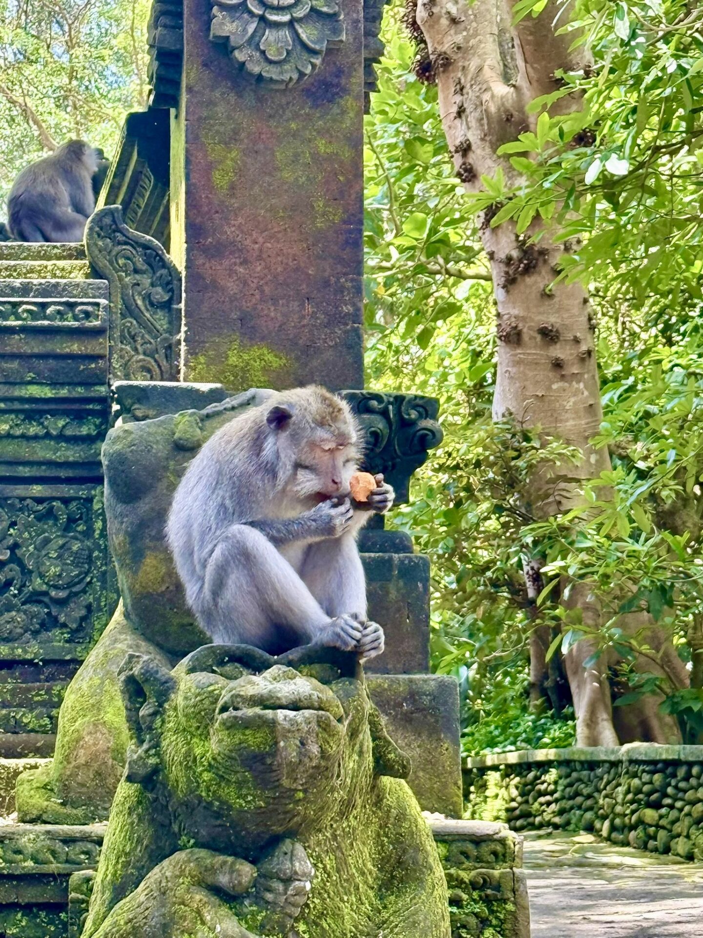 Bali 2025 - Gallery Image